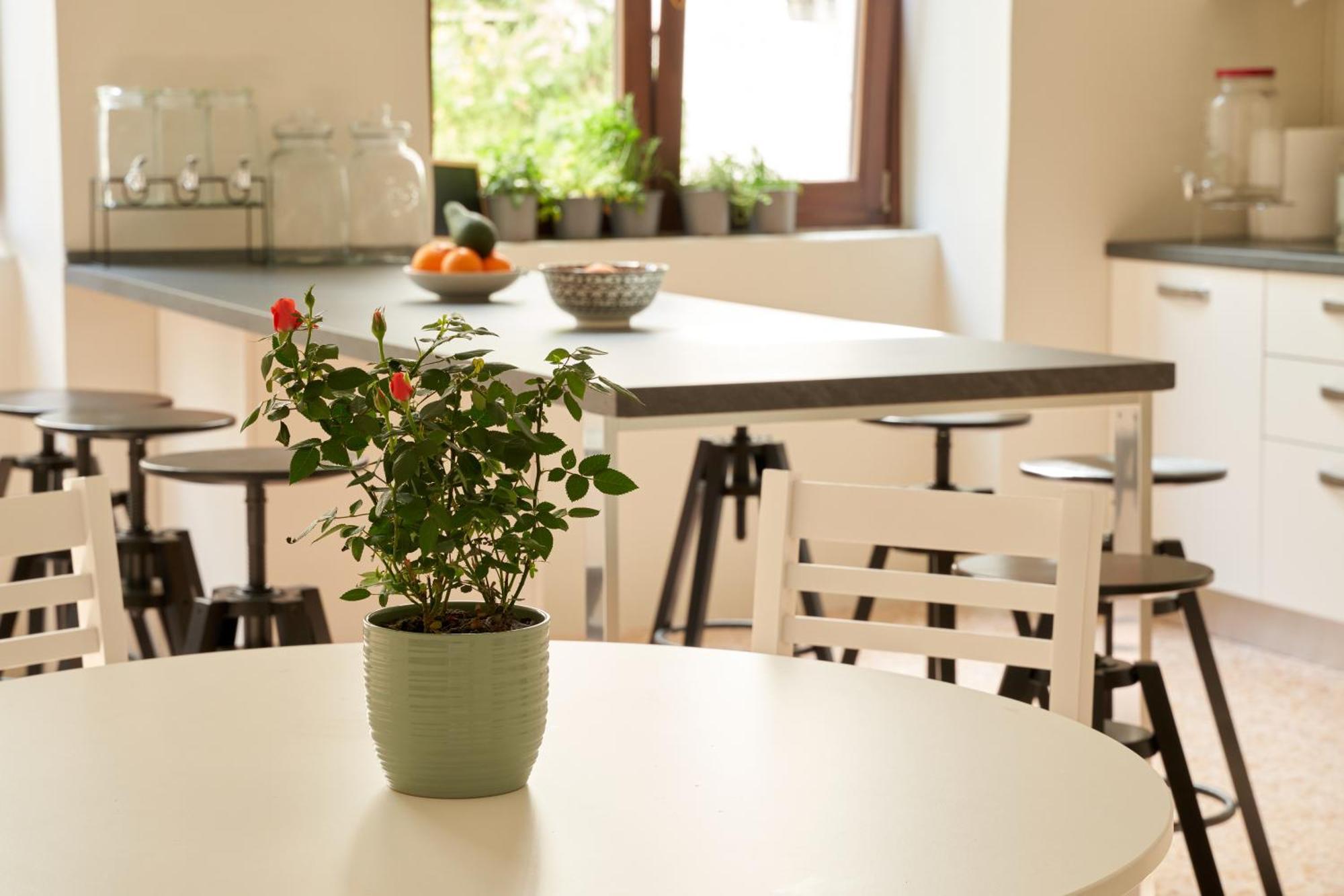 Hub Portanova Hostel Trani Luaran gambar